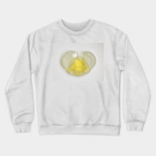 Conifer pollen grain under the microscope Crewneck Sweatshirt